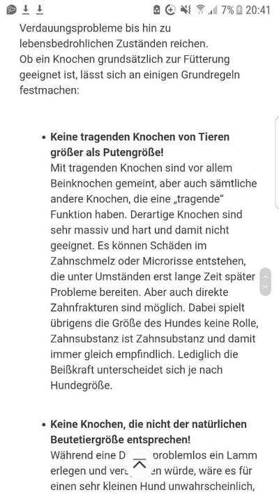 Knochenfütterung-Beitrag-Bild