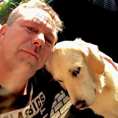 Hundetreffen-Prichsenstadt Wiesentheid Volkach …-Profilbild