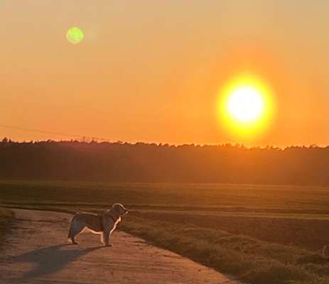 Fotochallenge Nr. 62 Romantische Momente-Beitrag-Bild