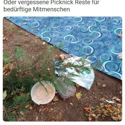 Giftköder-Giftköder Laubepark 1100-Bild