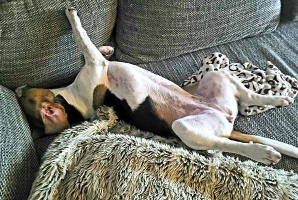 Die unbequemsten und lustigsten Schlafpositionen-Beitrag-Bild