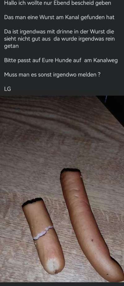 Giftköder-Möglicher Giftköder-Bild
