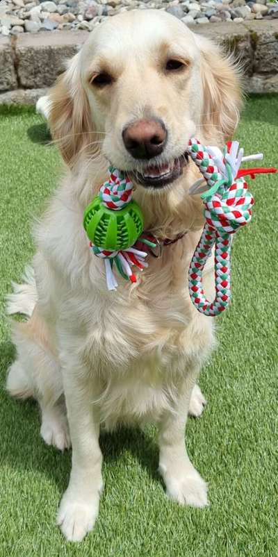 Lieblingsbild :D-Beitrag-Bild