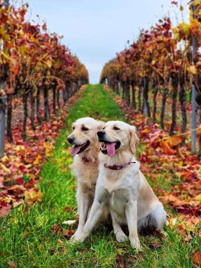 Fotochallenge Nr. 67: Euer Lieblingsbild-Beitrag-Bild