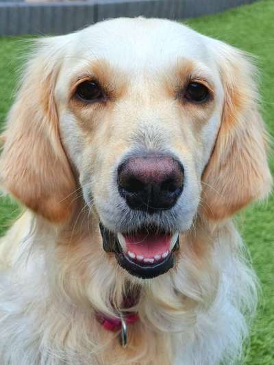 Fotochallange Nr. 57     PORTRÄT.   Beendet!!!!!!!!-Beitrag-Bild