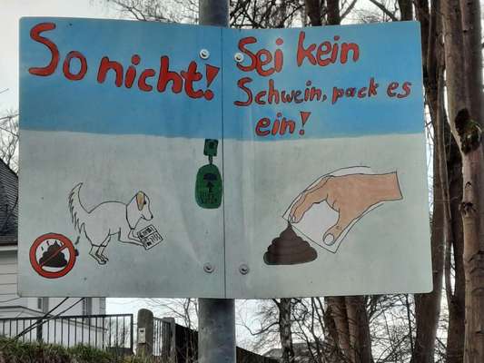 Hundekot wegräumen-Beitrag-Bild