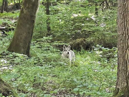 Fotochallenge Nr. 62 Romantische Momente-Beitrag-Bild