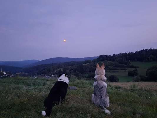 Fotochallenge Nr. 62 Romantische Momente-Beitrag-Bild