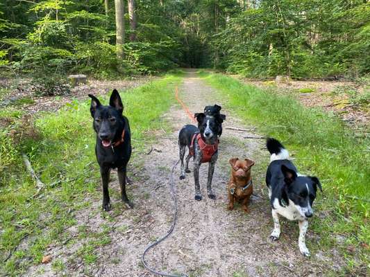 %{de_profession_title}-Tagesbetreuung-Bild