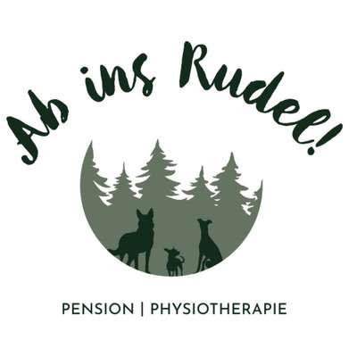 Hundepensionen-Ab ins Rudel! Hundebetreuung-Bild