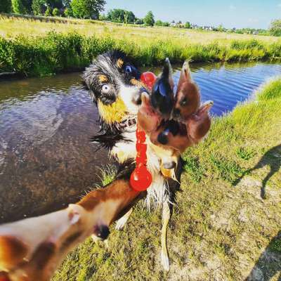 Fotochallenge Nr. 52 „Spring!“-Beitrag-Bild