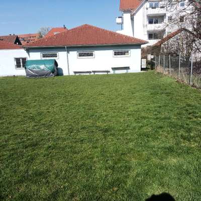 Giftköder-Eingezäunter Hundeplatz-Bild