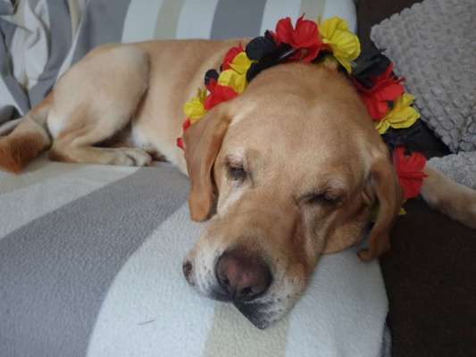 Gemeinsames Kuscheln im Bett!-Beitrag-Bild