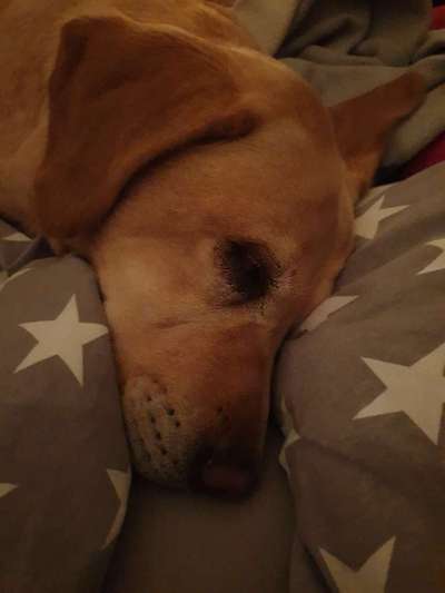 Gemeinsames Kuscheln im Bett!-Beitrag-Bild