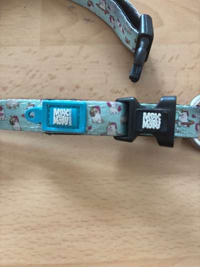 Max und Molly Set-Beitrag-Bild