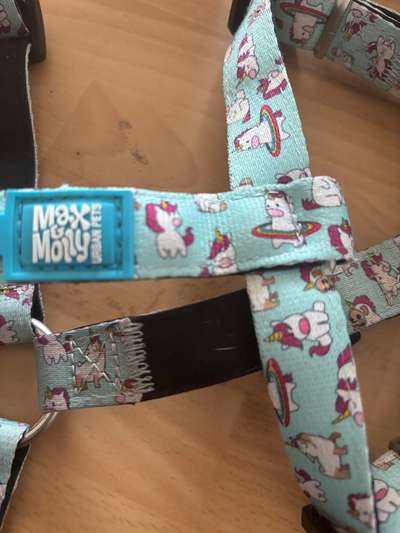 Max und Molly Set-Beitrag-Bild