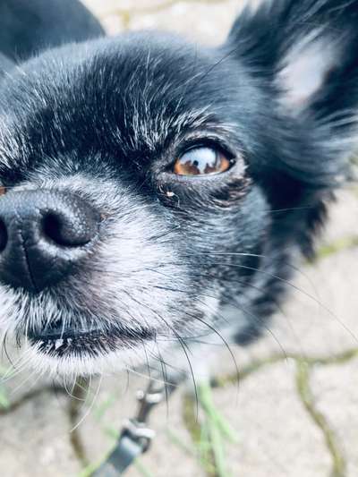 42. Handy Fotochallenge - Den richtigen Riecher haben-Beitrag-Bild