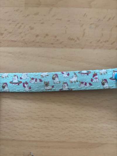 Max und Molly Set-Beitrag-Bild