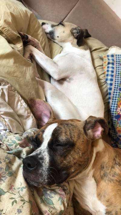 Foto Challenge Nr.: 115-Beitrag-Bild