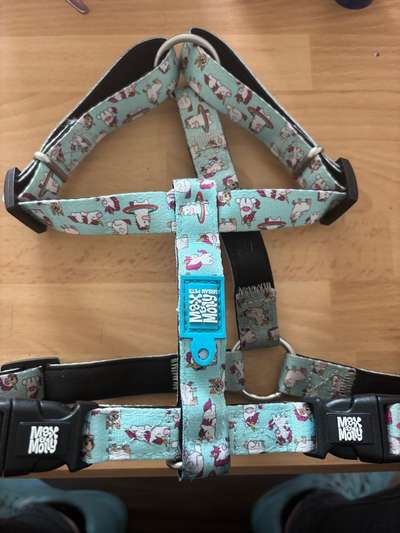 Max und Molly Set-Beitrag-Bild