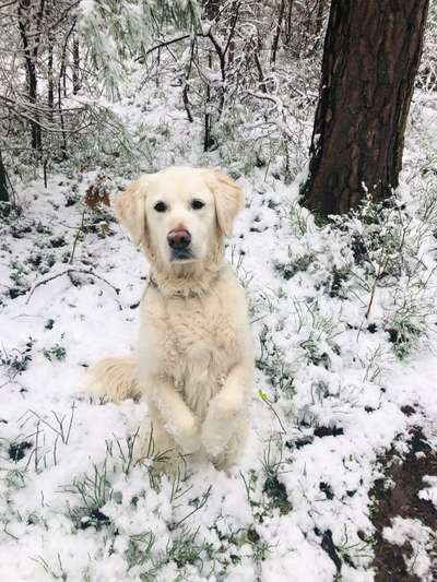 Dogorama Photo Challenge - Es wird nochmal kalt!-Beitrag-Bild