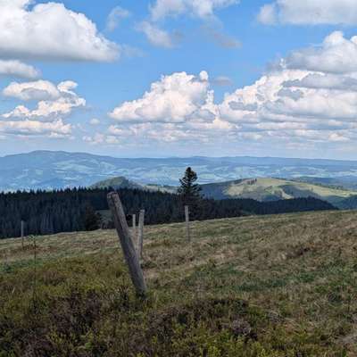 aktuelles Foto Gruppe Wandern und Outdoor