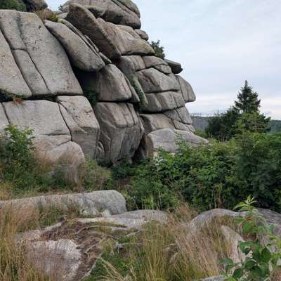 aktuelles Foto Gruppe Wandern und Outdoor