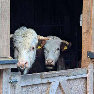 aktuelles Foto Gruppe Wandern und Outdoor