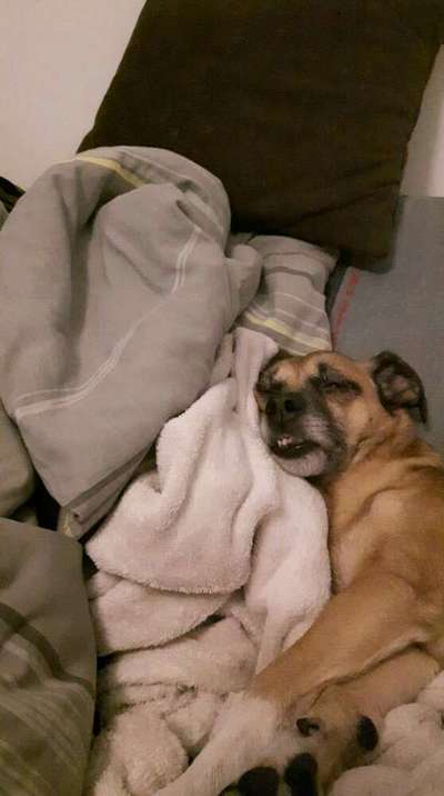 Die unbequemsten und lustigsten Schlafpositionen-Beitrag-Bild