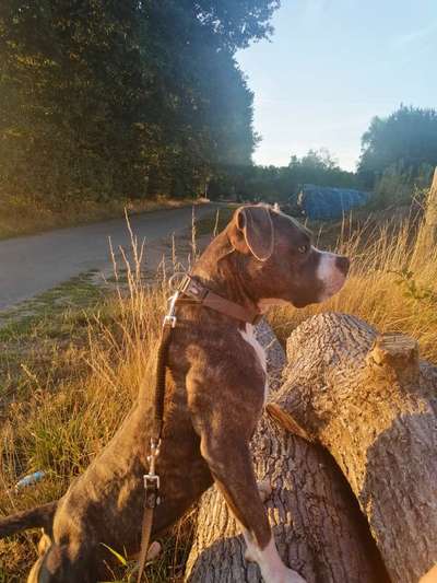 Doppelgänger gesucht !-Beitrag-Bild