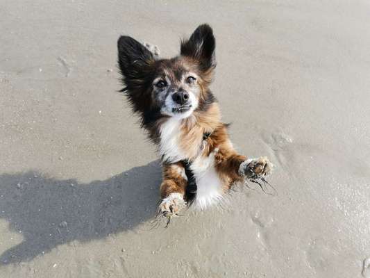 147. Foto Challenge: Bettelblick-Beitrag-Bild