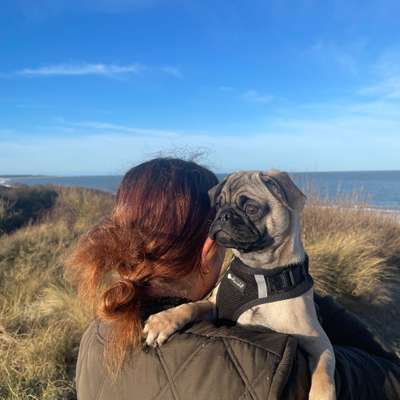 Hundetreffen-play & walk-Bild
