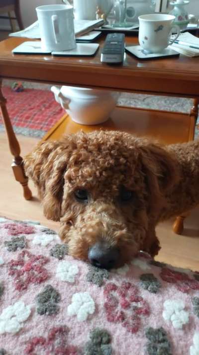 147. Foto Challenge: Bettelblick-Beitrag-Bild