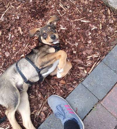 Fotochallange Nummer 5-Beitrag-Bild