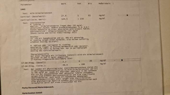 Cuching- Syndrom-Beitrag-Bild