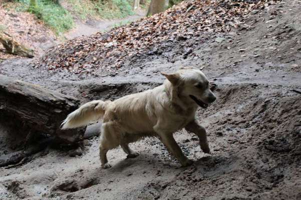 Austausch zur Fotografie-Beitrag-Bild