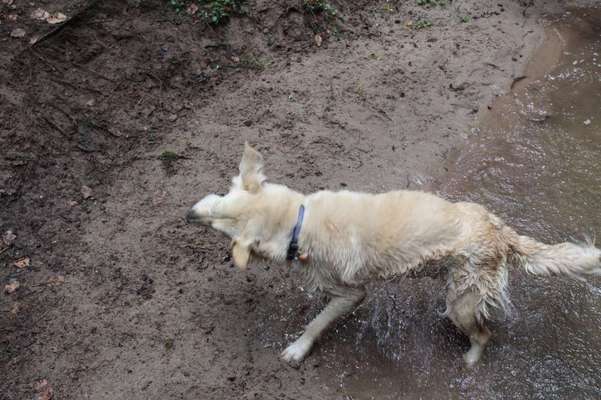Austausch zur Fotografie-Beitrag-Bild
