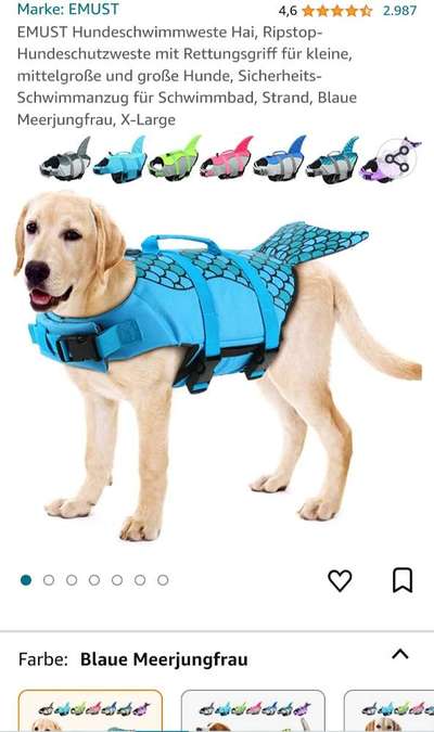 Wo sind die Golden Retriever Liebhaber?-Beitrag-Bild