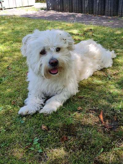 Doppelgänger gesucht !-Beitrag-Bild