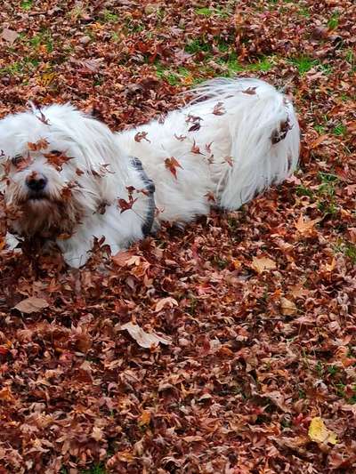 Herbst Bilder-Beitrag-Bild