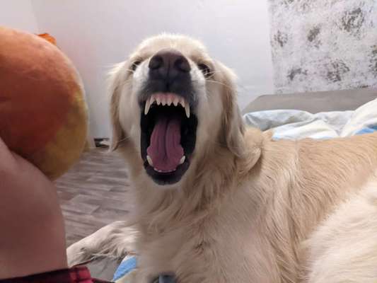 Her mit dem Grimassen-Beitrag-Bild