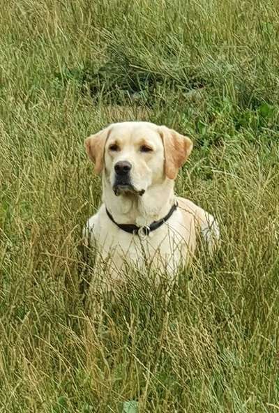 Lieblingsbild-Beitrag-Bild