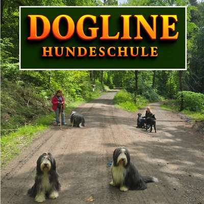 Hundetreffen-Social-Walk & Grundgehorsam-Bild