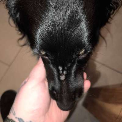 Beulen auf der Nase-Beitrag-Bild