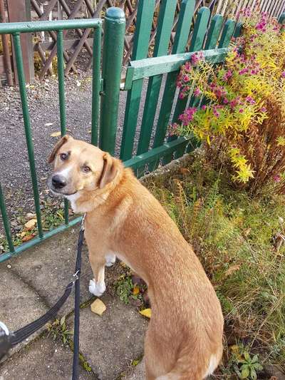 Foto-Challenge Nr. 90: Lebensfreude-Beitrag-Bild