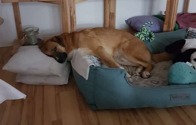 Lustige Grimassen & verrückte Posen-Beitrag-Bild