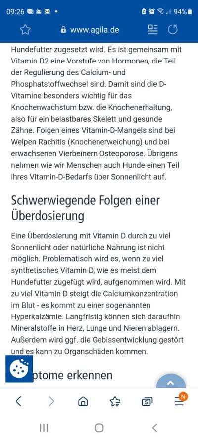 Gutes und gesundes Futter-Beitrag-Bild