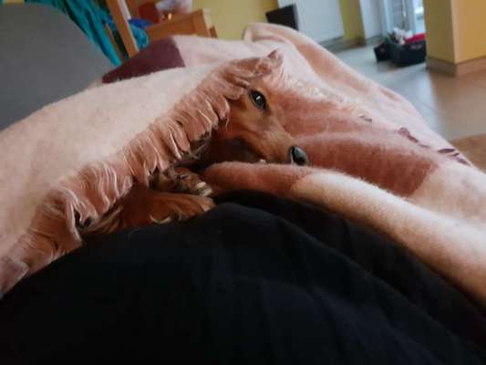 Challenge 21 - wo bin ich : )-Beitrag-Bild