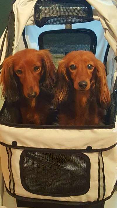 CHALLENGE NR. 18 - ON TOUR-Beitrag-Bild