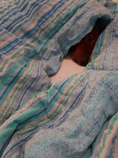 Challenge 21 - wo bin ich : )-Beitrag-Bild